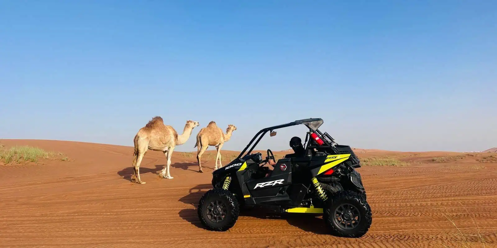 Compbine Dune Buggy Riding and Desert Safari