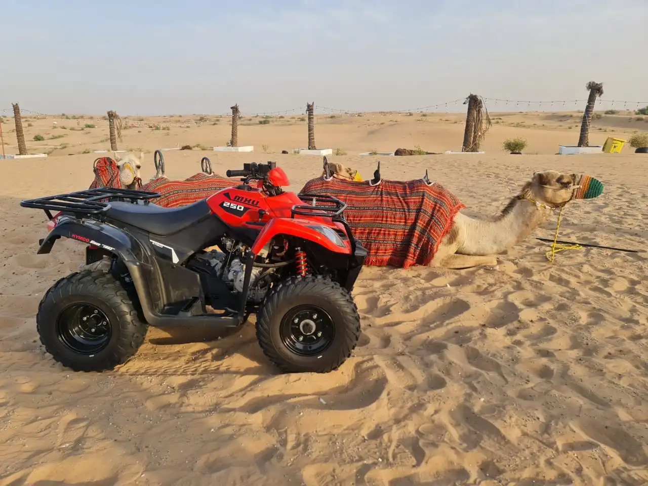 Desert safari with Quad Bike